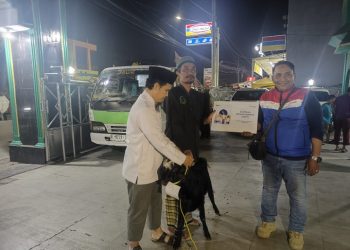 PGN Kurban Kambing ke Mesjid As’saadah Sukadanau