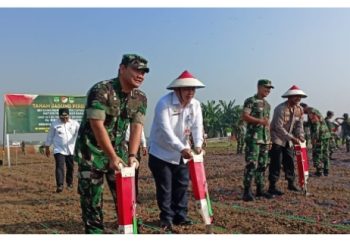Ini Inovasi Pemkab Bekasi Dalam Menjaga Ketahanan Pangan