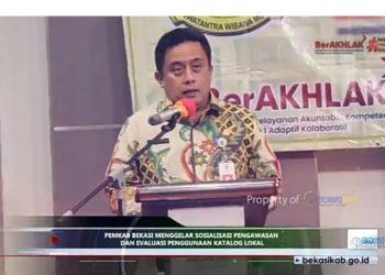 BPBJ Gelar Sosialisasi Katalog Lokal