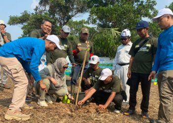 Peringati Hari Lingkungan Hidup Sedunia, Dinas LH Tanam 610 Pohon