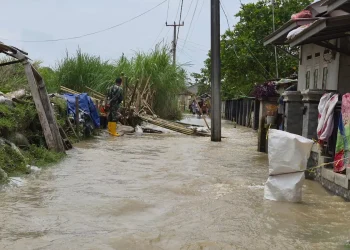 Muchlis:  Perbaikan Tanggul Kritis di Bekasi Berpacu dengan Waktu, 71 Titik Jadi Prioritas