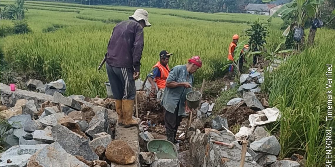 Pelaksanaan P3-GAI di Desa Pabangbon Disorot, Diduga Dialihkan ke Menantu Kepala Desa