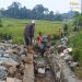 Pelaksanaan P3-GAI di Desa Pabangbon Disorot, Diduga Dialihkan ke Menantu Kepala Desa