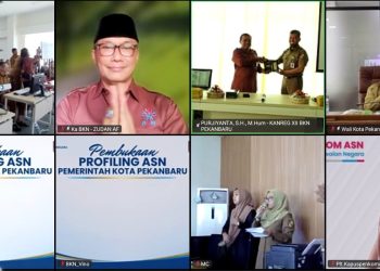 Hadirkan Profiling ASN Secara Gratis, Kepala BKN Targetkan 600 Ribu ASN Se-Indonesia Terpetakan Tahun Ini